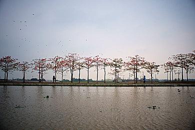 时隔3年 任天堂将再次参展独立游戏展BitSummit X-Roads